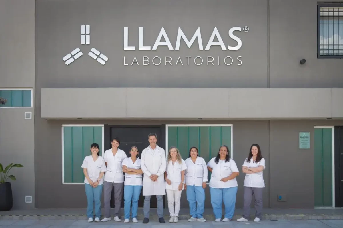 Laboratorio Llamas Pergamino Buenos Aires